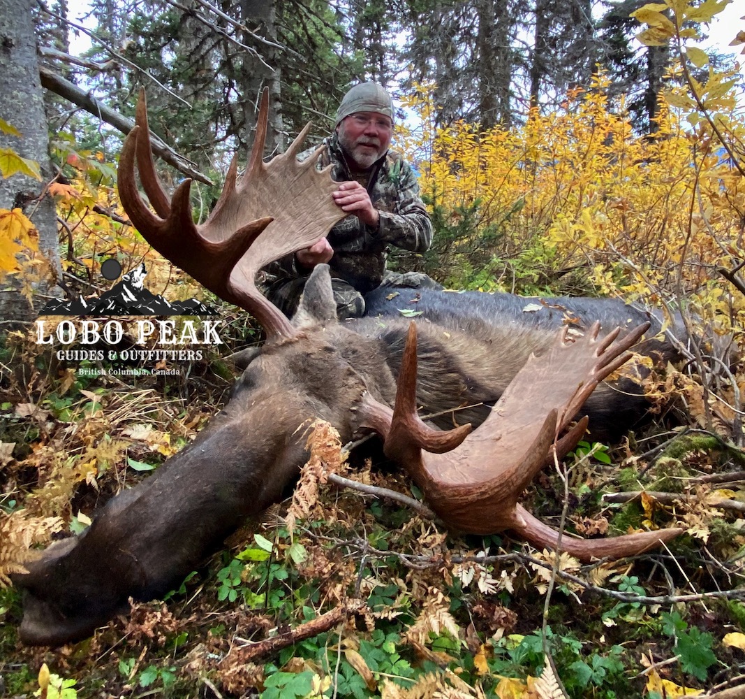 Moose Hunting Gallery - Successful Moose Hunts, Prince George, BC